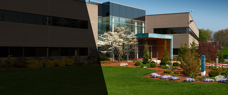 Canyon Lake Landscapers