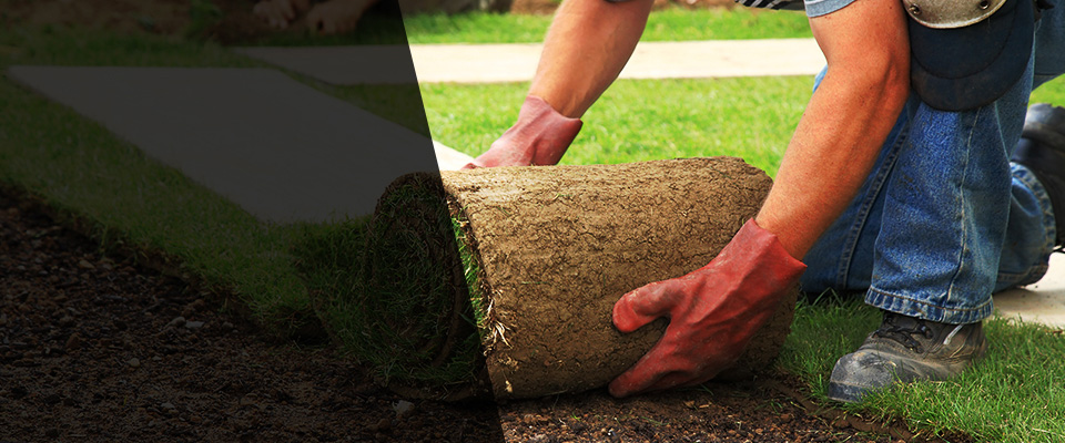 Canyon Lake Landscapers